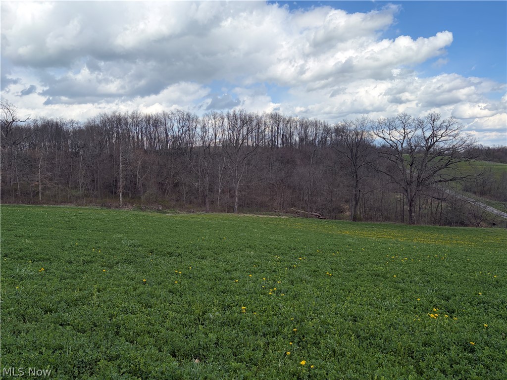 Township Road 177 Baltic OH 43804
