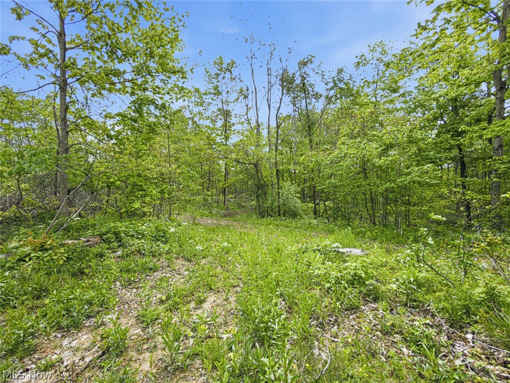 69 Acres Newlon Road Malta OH 43758