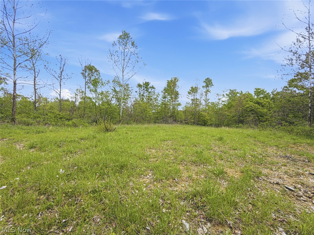 69 Acres Newlon Road Malta OH 43758