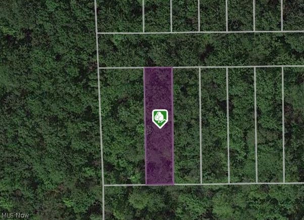 V/l Magnolia #12 Drive Madison OH 44057