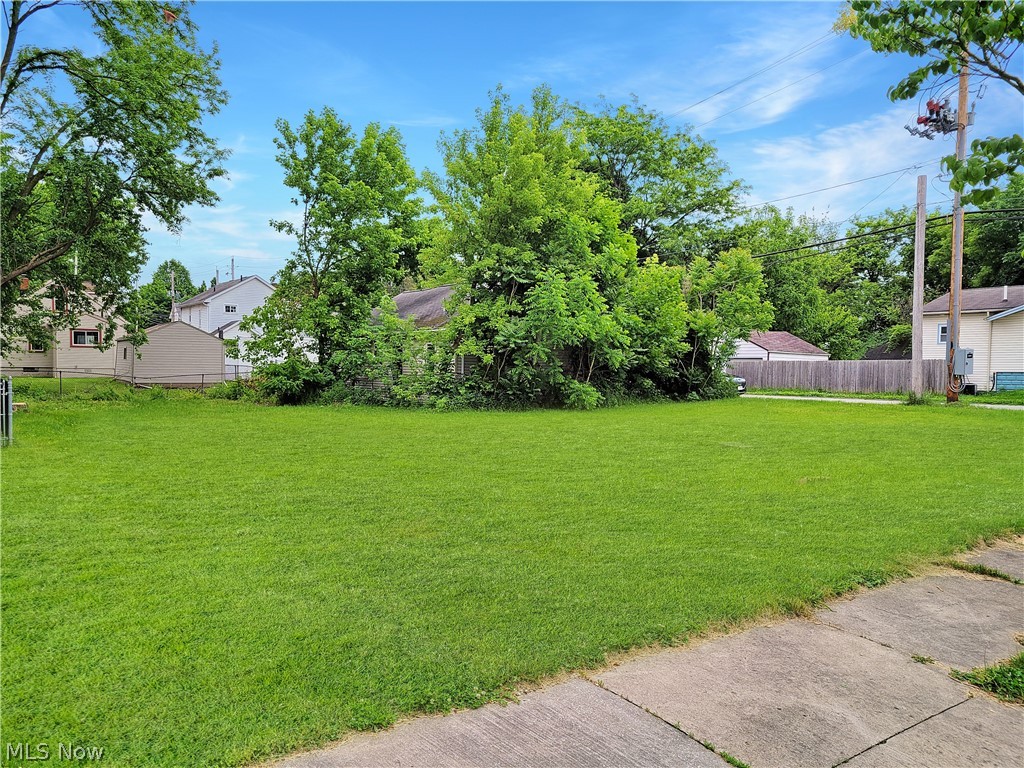 1091 Pitkin Avenue Akron OH 44310