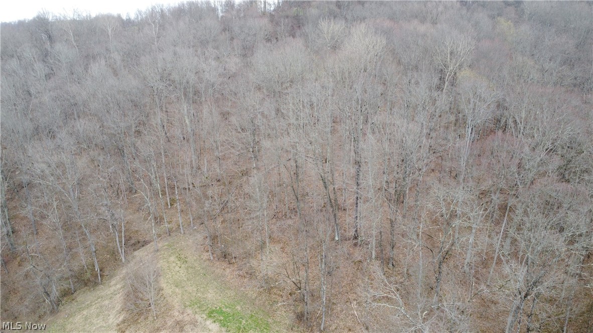 39460 Opossum Creek Road Sardis OH 43946