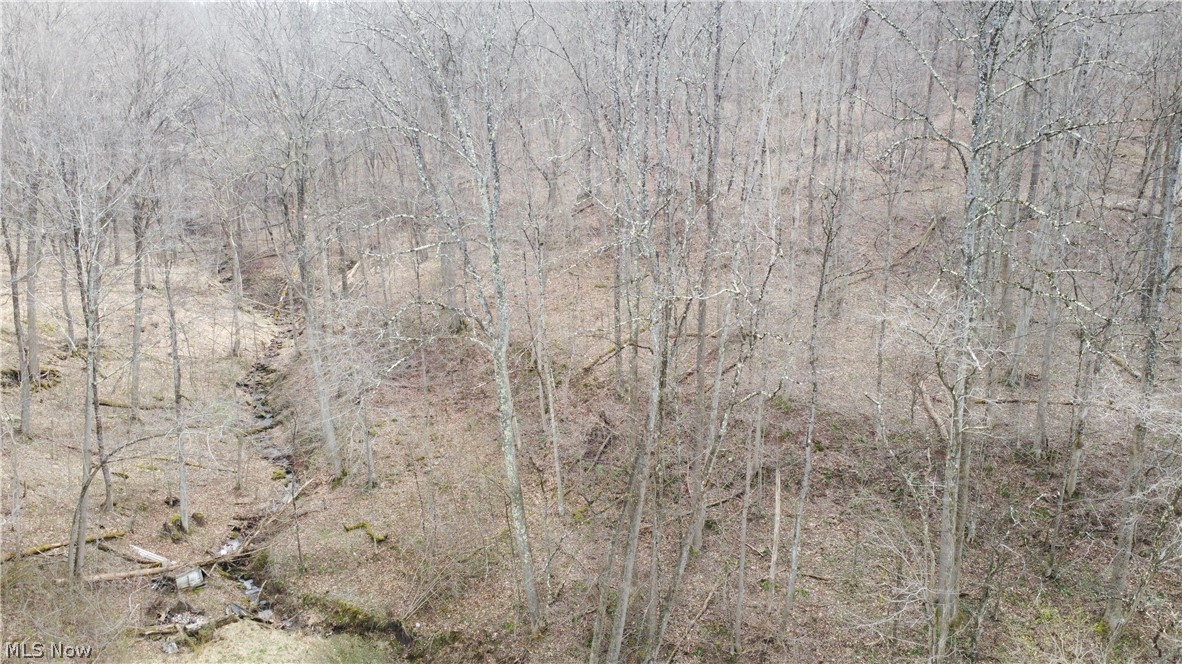 39460 Opossum Creek Road Sardis OH 43946