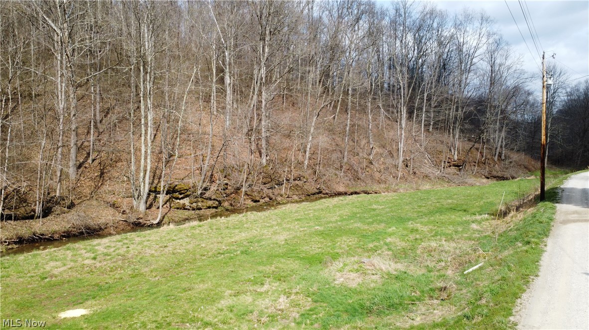 39460 Opossum Creek Road Sardis OH 43946