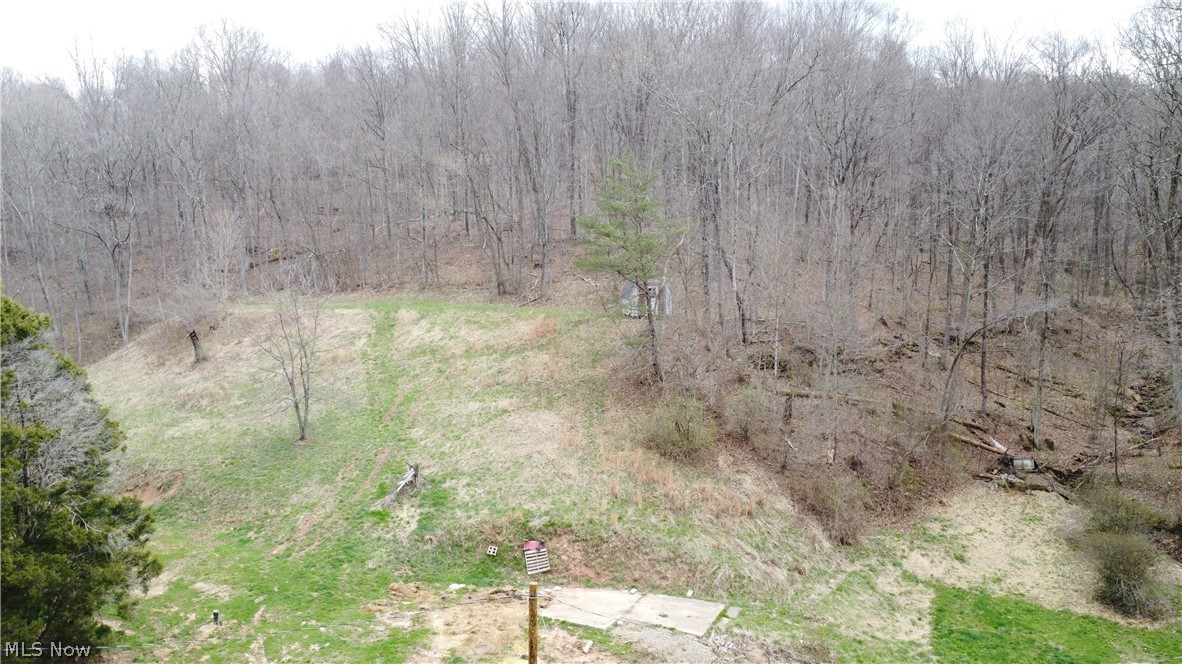 39460 Opossum Creek Road Sardis OH 43946