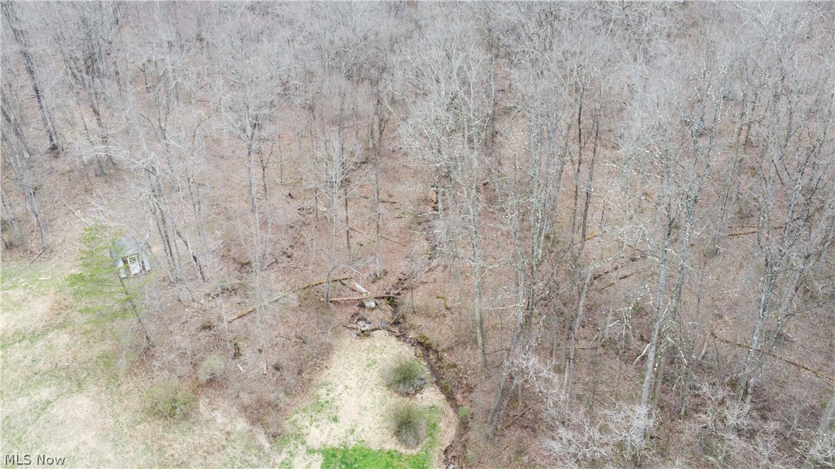 39460 Opossum Creek Road Sardis OH 43946