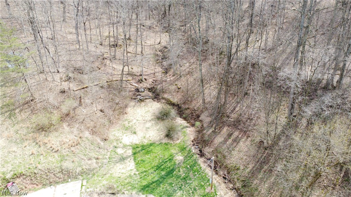 39460 Opossum Creek Road Sardis OH 43946