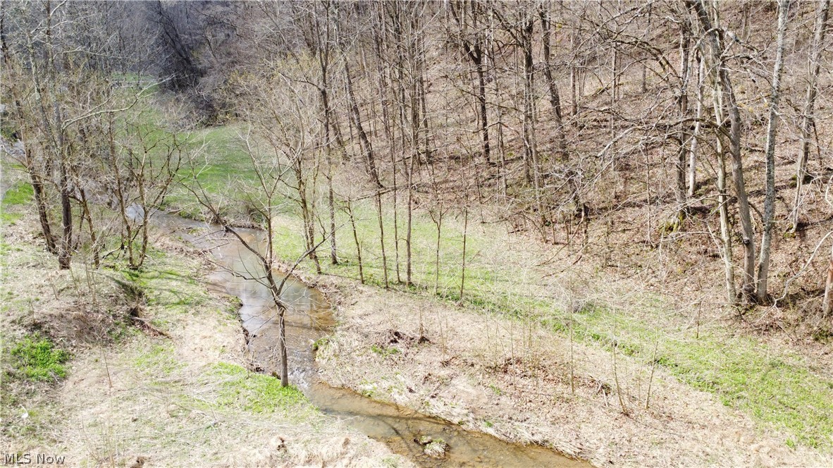 39460 Opossum Creek Road Sardis OH 43946