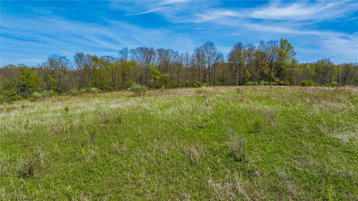 0 Mcclintocksburg Road Diamond OH 44412