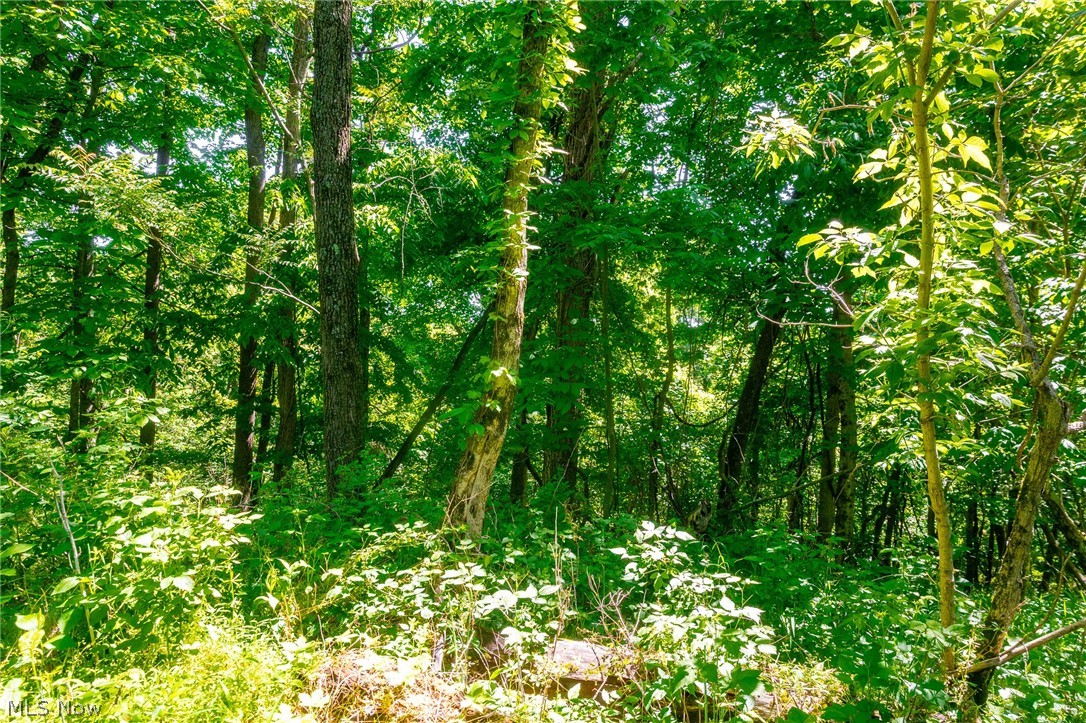 5568 Schoolhouse Road Frazeysburg OH 43822