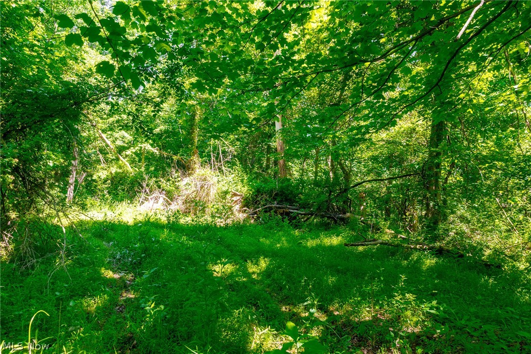 5568 Schoolhouse Road Frazeysburg OH 43822