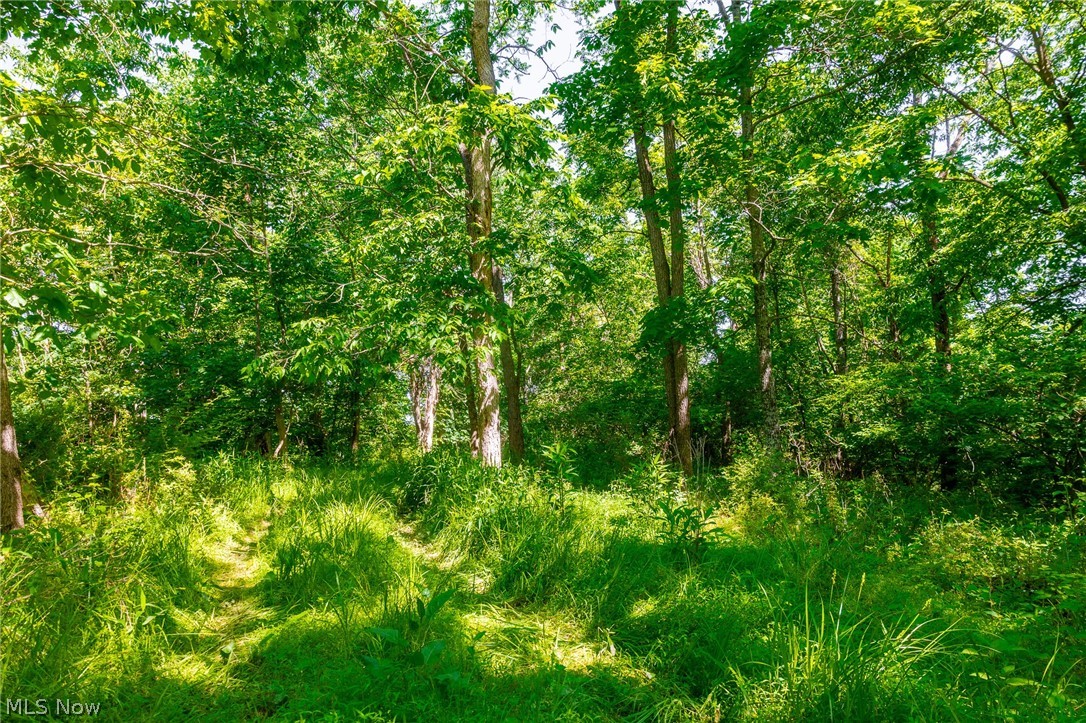 5568 Schoolhouse Road Frazeysburg OH 43822