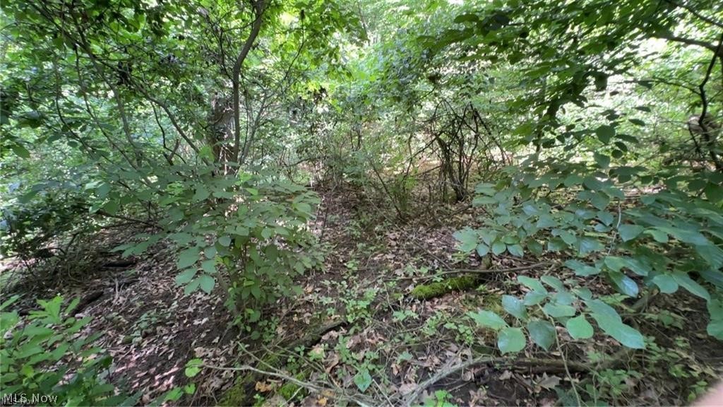 Point Lookout Road Stockport OH 43787