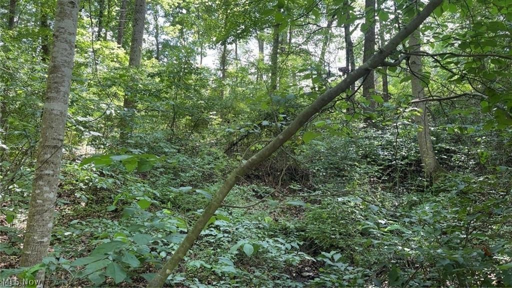 Point Lookout Road Stockport OH 43787