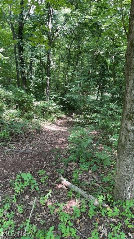 Point Lookout Road Stockport OH 43787