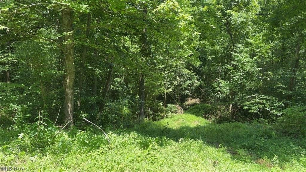 Point Lookout Road Stockport OH 43787