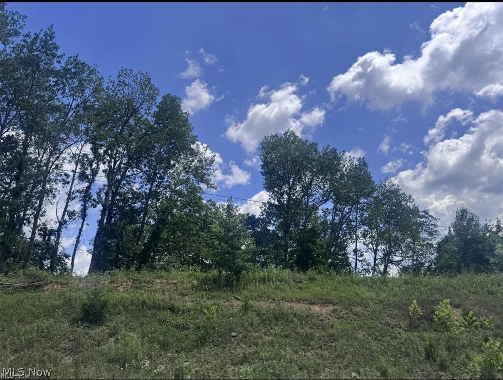 Point Lookout Road Stockport OH 43787