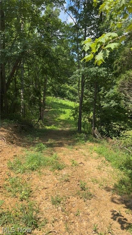 Point Lookout Road Stockport OH 43787