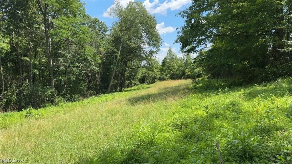 Point Lookout Road Stockport OH 43787