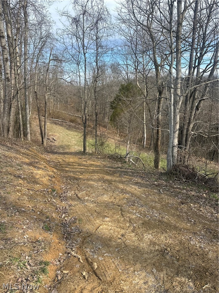 Point Lookout Road Stockport OH 43787