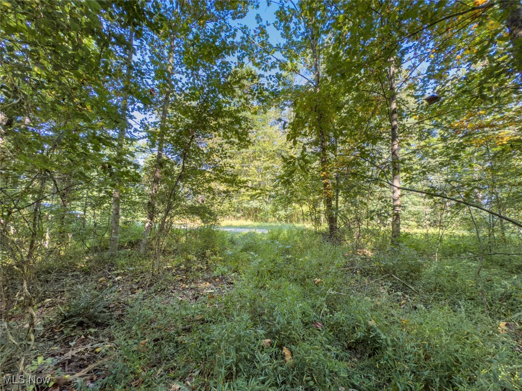 Lot 2 Shinn Road Stockport OH 45724