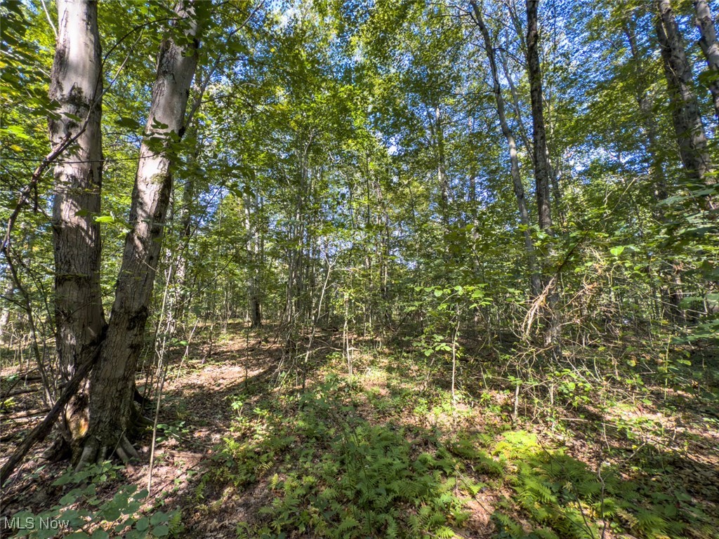 Lot 2 Shinn Road Stockport OH 45724