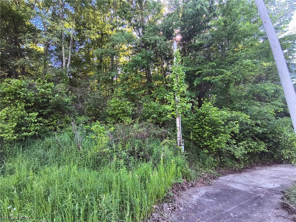 1028 Arbor Road NE Minerva OH 44657