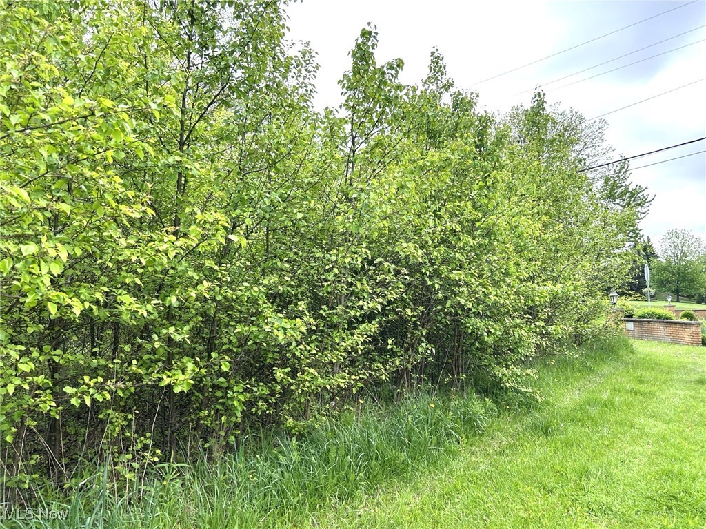 Winding Way Brecksville OH 44141