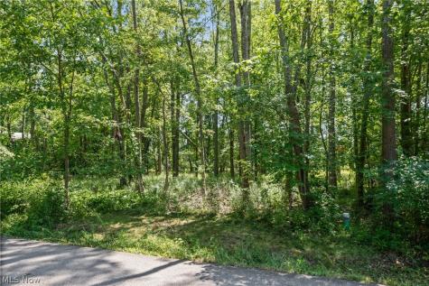 Cranage Road Olmsted Falls OH 44138