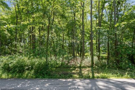 Cranage Road Olmsted Falls OH 44138