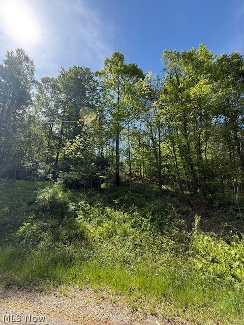 Scott Drive Newcomerstown OH 43832