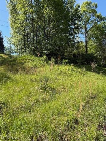 Scott Drive Newcomerstown OH 43832