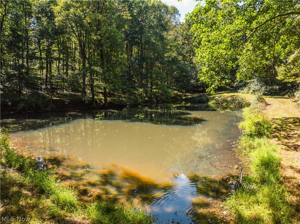 10261 Fiat Road Stone Creek OH 43804