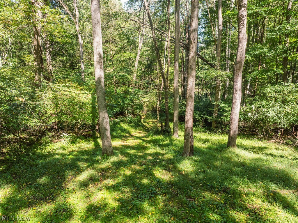 10261 Fiat Road Stone Creek OH 43804