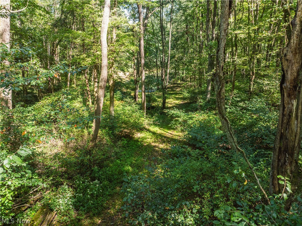 10261 Fiat Road Stone Creek OH 43804