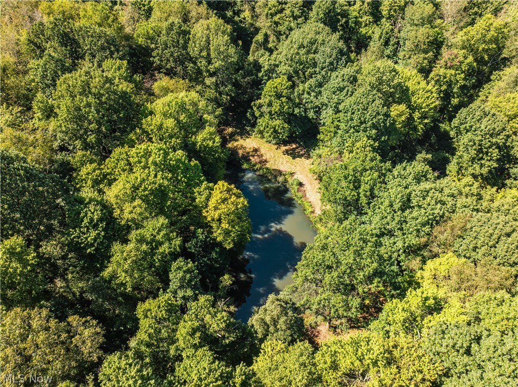 10261 Fiat Road Stone Creek OH 43804