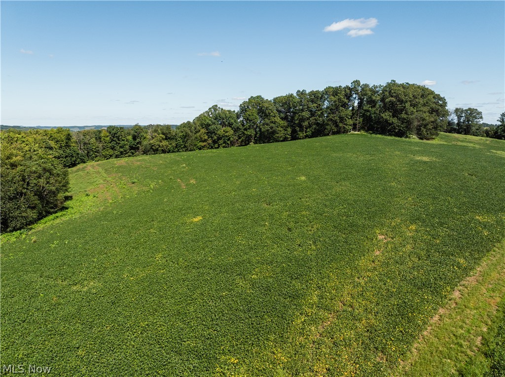 10261 Fiat Road Stone Creek OH 43804