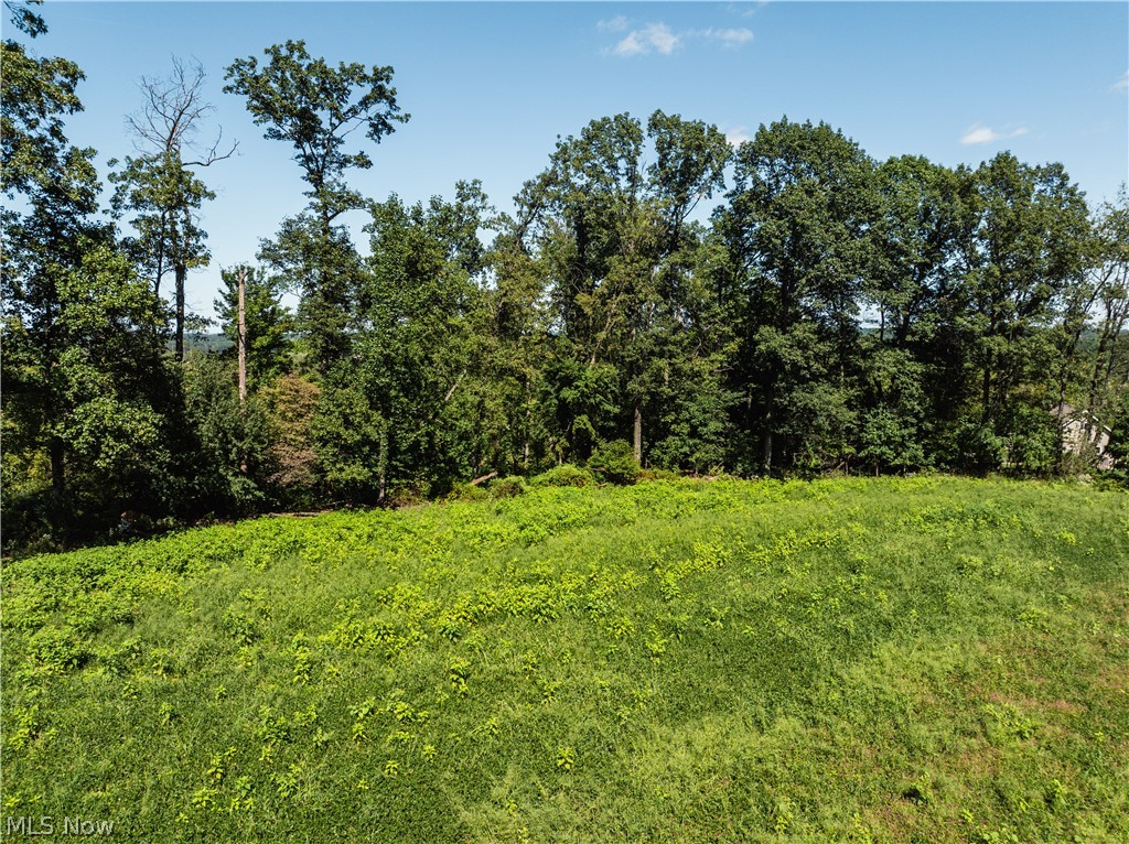 10261 Fiat Road Stone Creek OH 43804