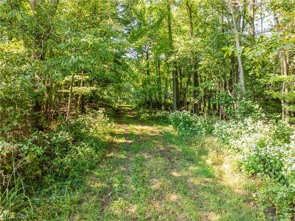 10261 Fiat Road Stone Creek OH 43804