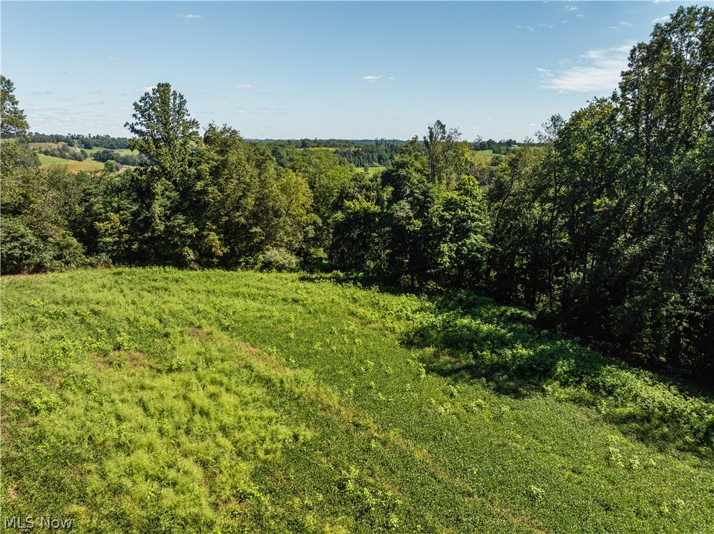 10261 Fiat Road Stone Creek OH 43804
