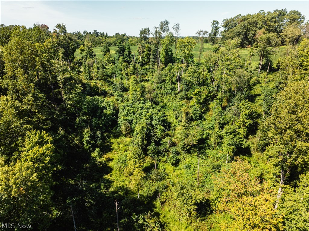 10261 Fiat Road Stone Creek OH 43804