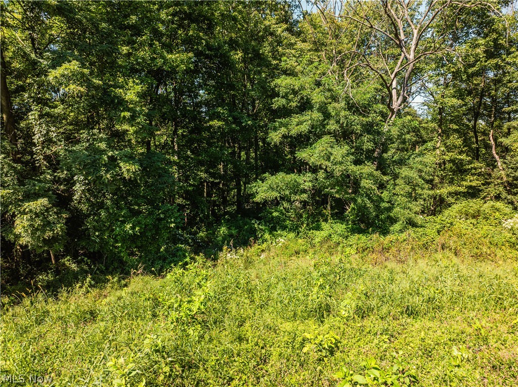 10261 Fiat Road Stone Creek OH 43804
