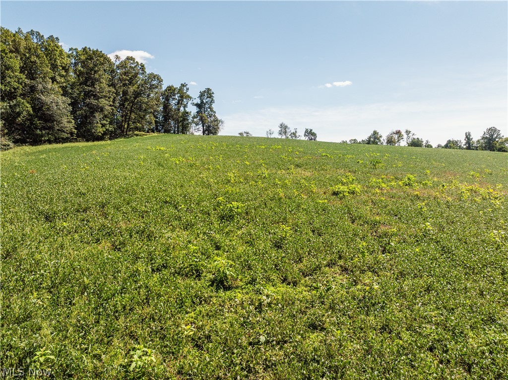 10261 Fiat Road Stone Creek OH 43804