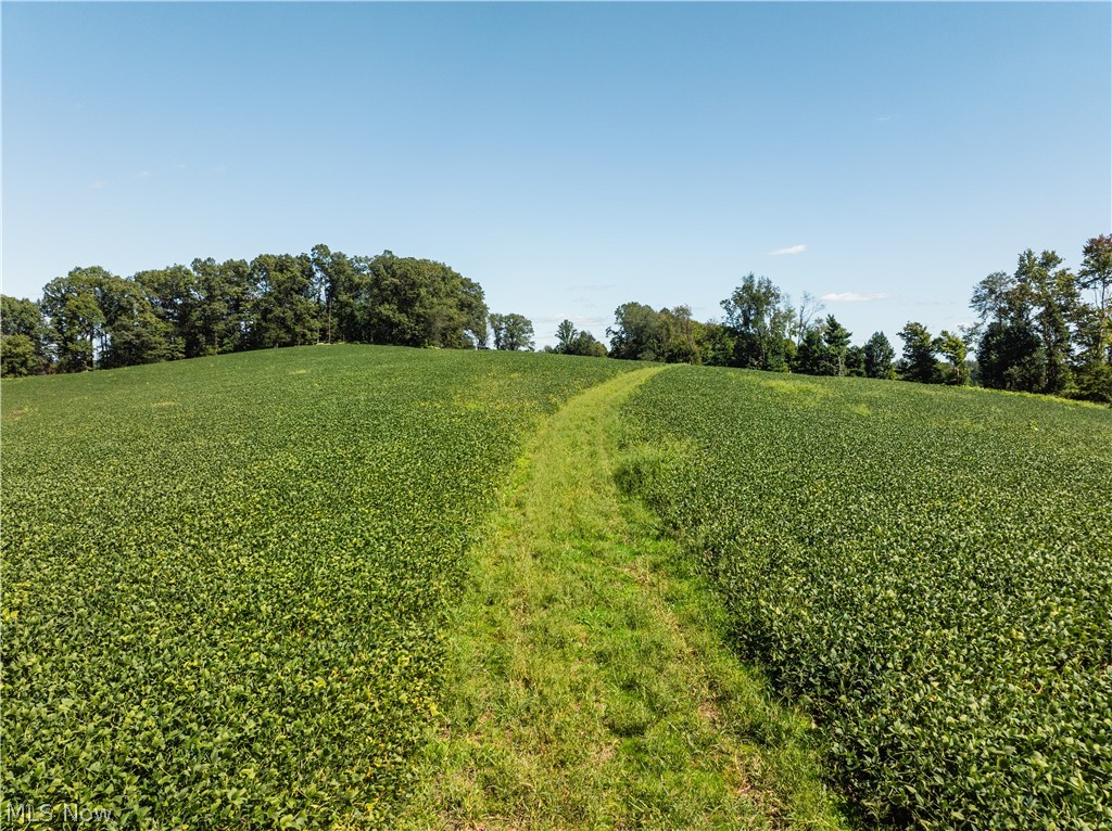 10261 Fiat Road Stone Creek OH 43804