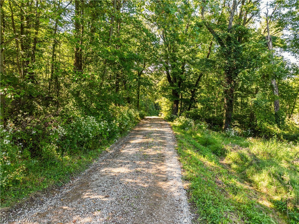 10261 Fiat Road Stone Creek OH 43804