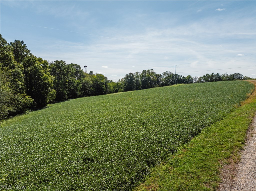 10261 Fiat Road Stone Creek OH 43804