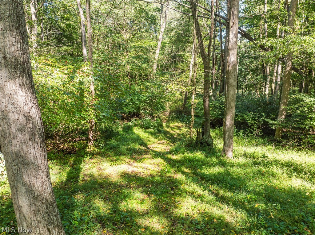 10261 Fiat Road Stone Creek OH 43804