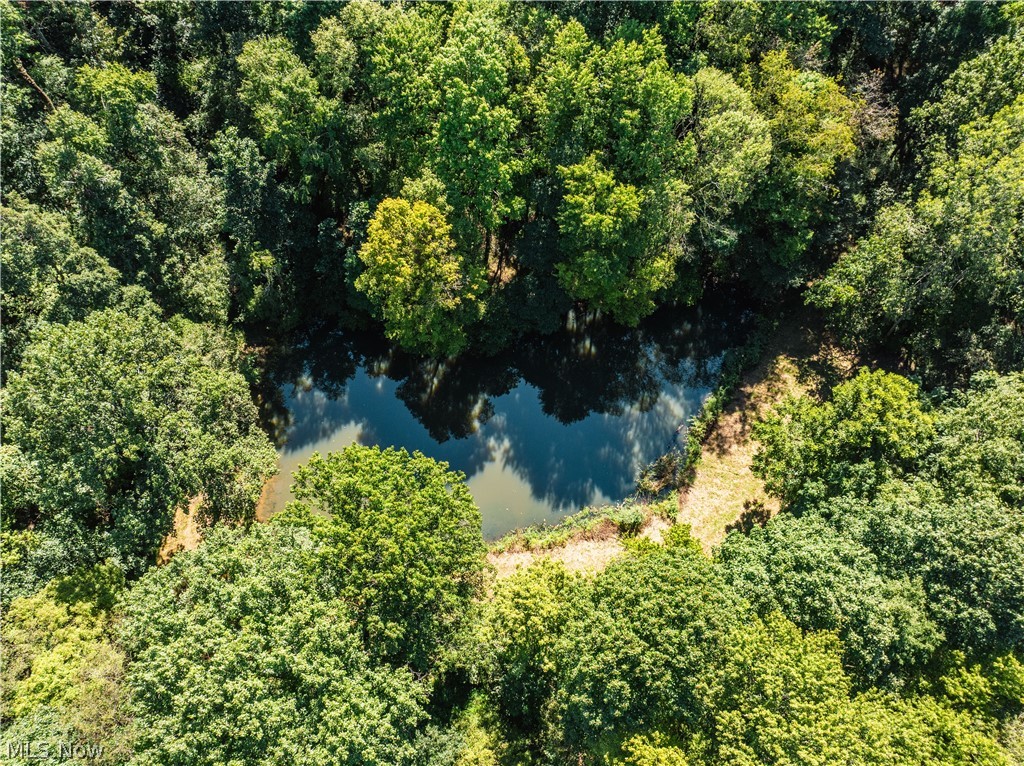 10261 Fiat Road Stone Creek OH 43804