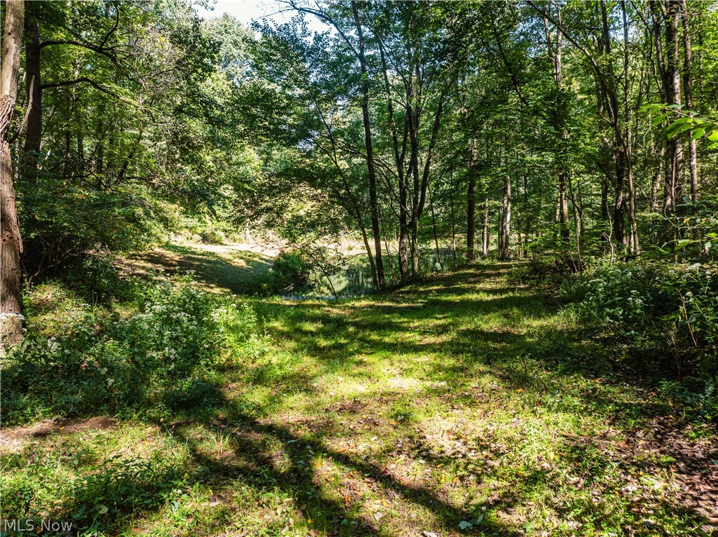 10261 Fiat Road Stone Creek OH 43804