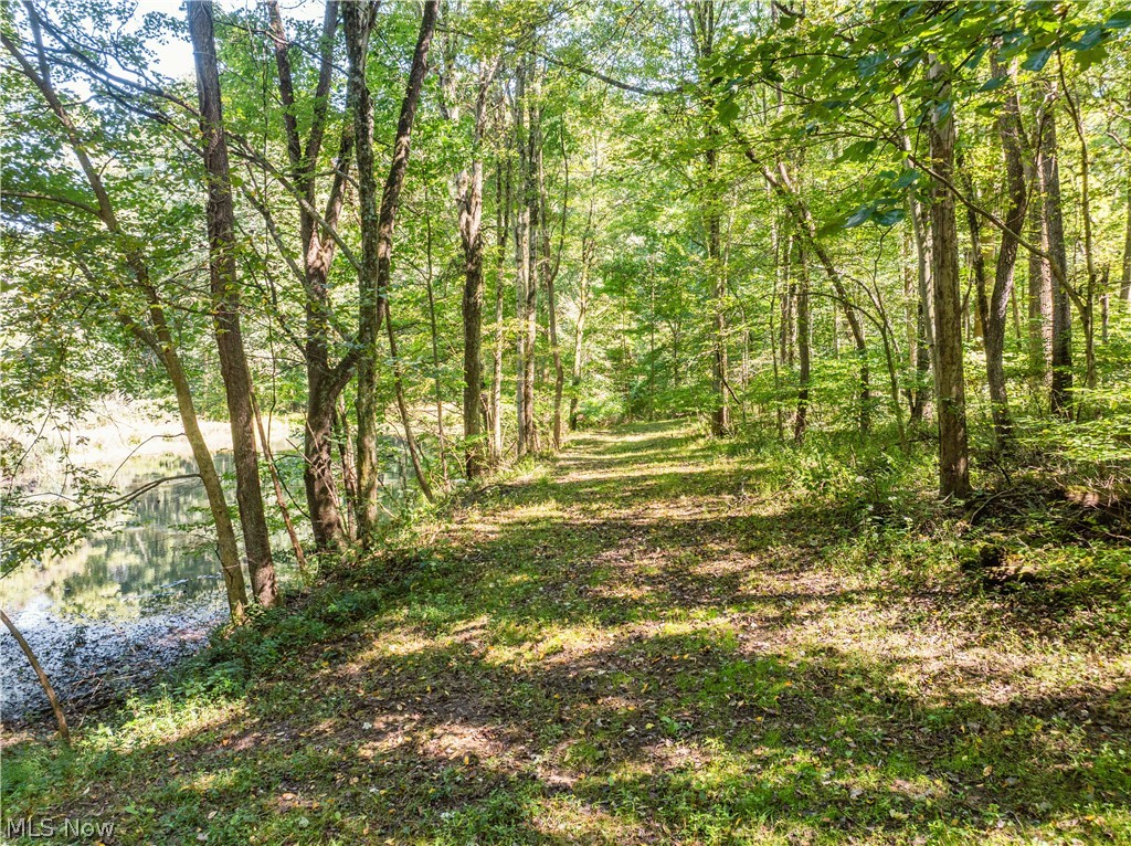 10261 Fiat Road Stone Creek OH 43804